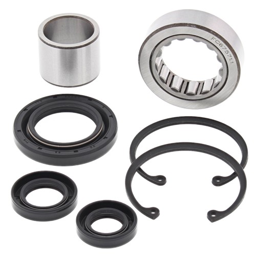 Primary bearing seal kit - bearing,